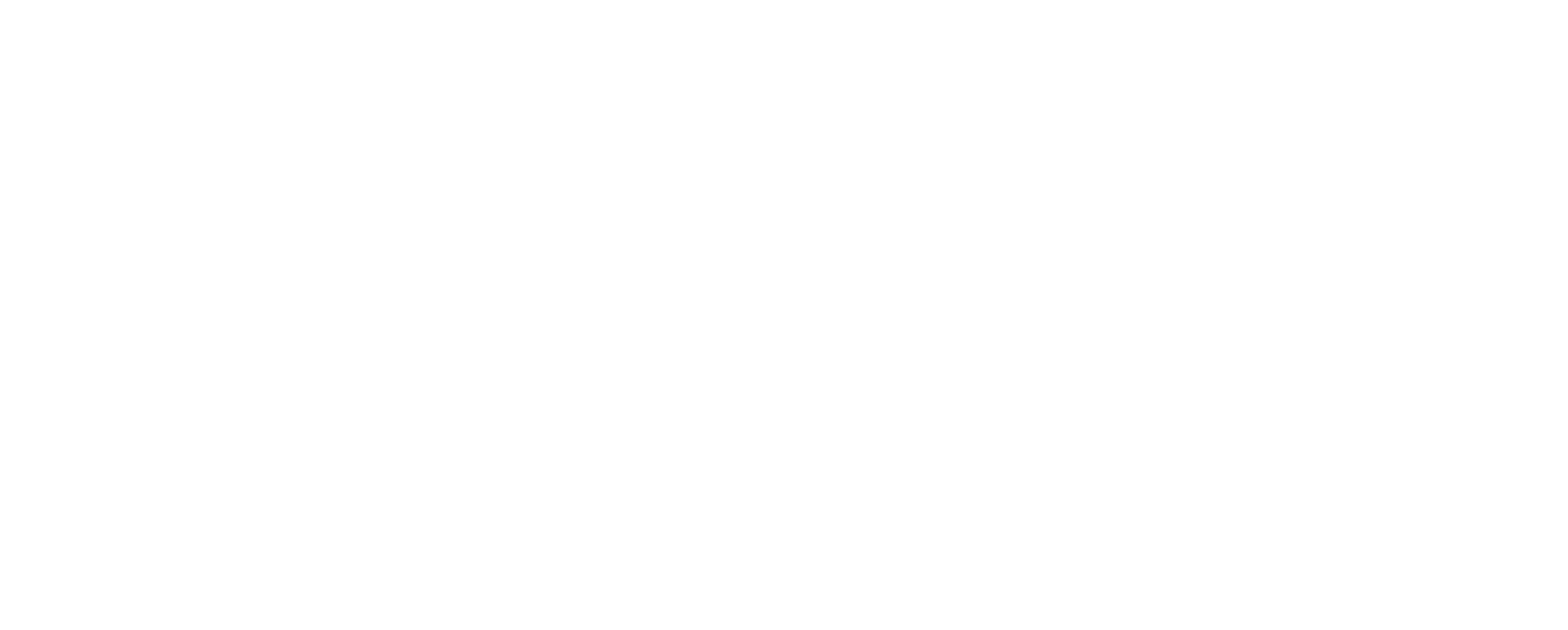 Flex Insurance logo